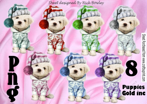 8 Lovely White puppies in knitted coloured hats in png