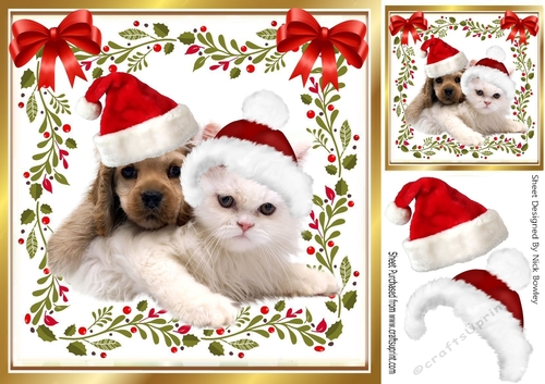 smile for the camera, cute puppy & kitten in santa hats 8x8