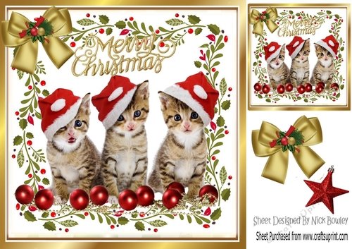 Three cute kitties in santa hats with bow 8x8