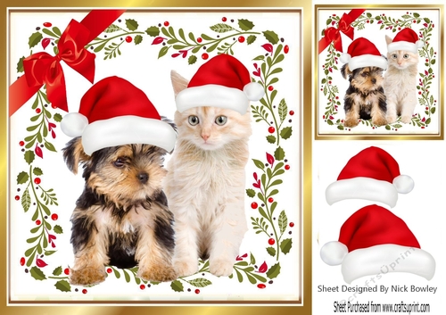 cute yorkie puppy and kitten in santa hats 8x8
