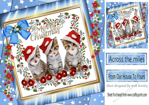Three cute kitties in santa hats with bow in blue star frame with flowers 8x8