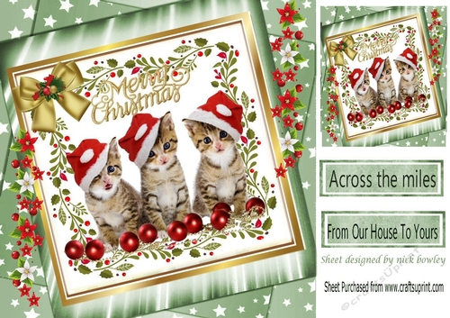Three cute kitties in santa hats with bow in green star frame with flowers 8x8