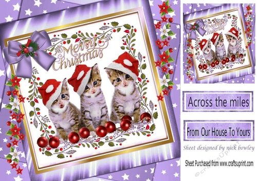 Three cute kitties in santa hats with bow in purple star frame with flowers 8x8