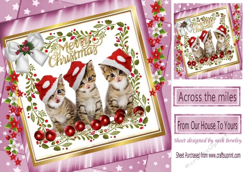 Three cute kitties in santa hats with bow in pink star frame with flowers 8x8