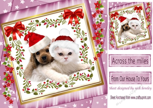  cute puppy and kitty in santa hats with bow in pink star frame with flowers 8x8