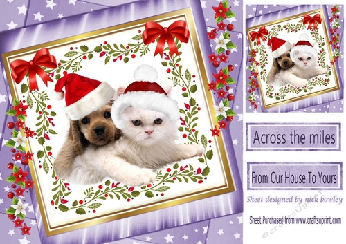 cute puppy and kitty in santa hats with bow in  purple star frame with flowers 8x8