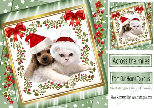 cute puppy and kitty in santa hats with bow in green star frame with flowers 8x8