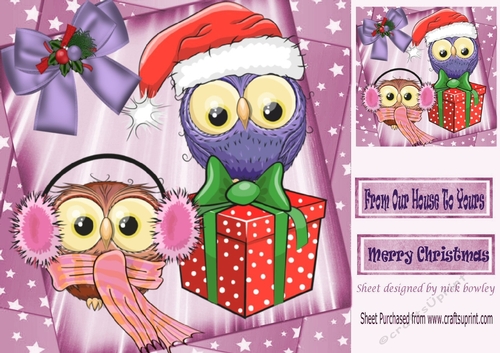 cute pair of winter owls with present in star frame 8x8