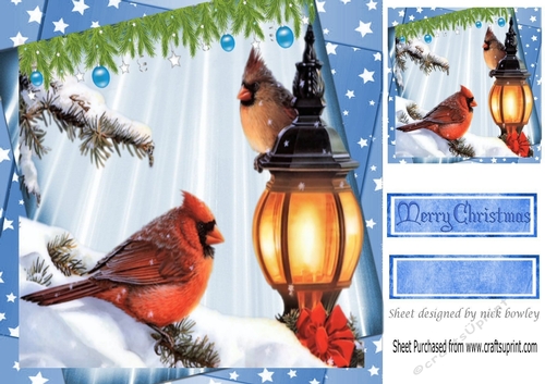winter cardinal birds in the snow, in star frame 8x8