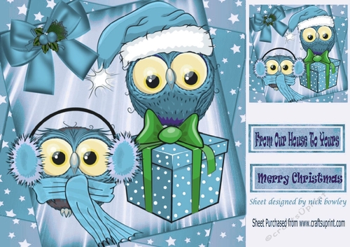 cute pair of winter owls with present in star frame (blue) 8x8
