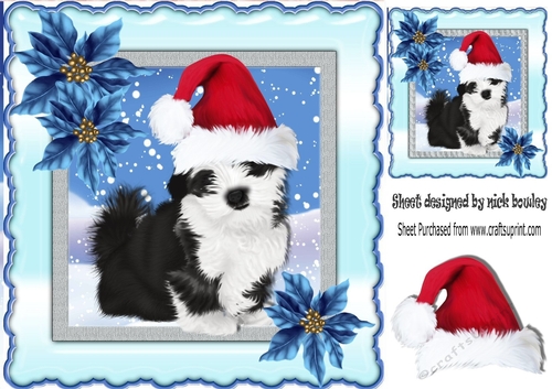 cute  black and white puppy in santa hat 8x8