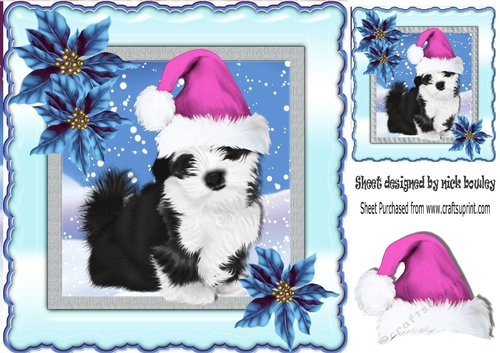 cute  black and white puppy in cerise pink santa hat 8x8