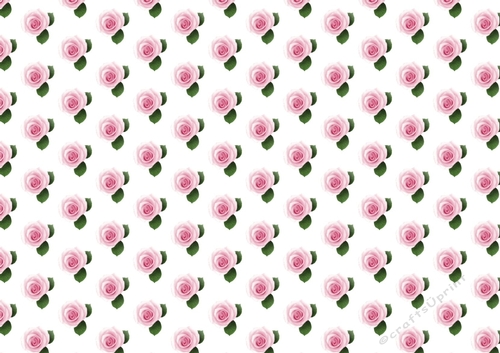  pink roses backing paper
