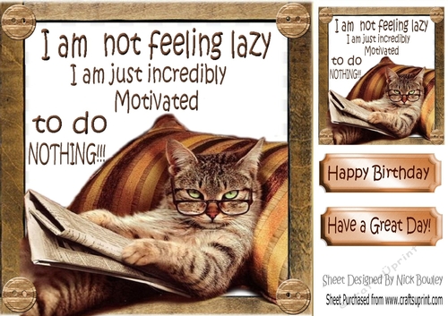 Lazy cat in armchair not motivated 8x8