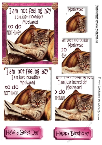 Lazy cat in armchair not motivated (pink) pyramids