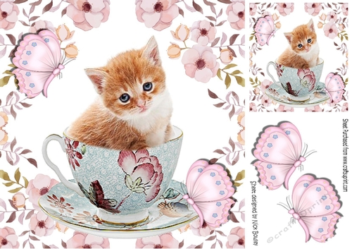 Sweet little kitten in a teacup in flower with butterflies frame 8x8