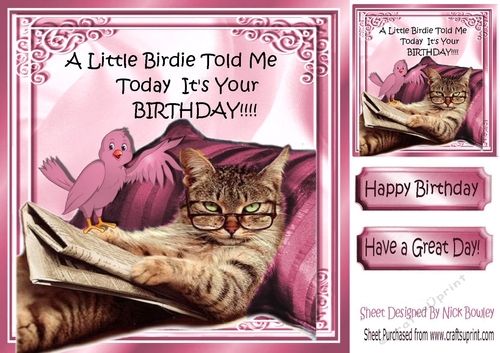 Lazy kitty with a pink bird 8x8