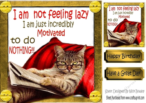 Lazy cat in armchair not motivated 8x8 (Red)