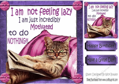 Lazy kitty in armchair not motivated 8x8 (pink)