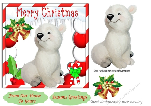 cute baby polar bear in festive christmas frame