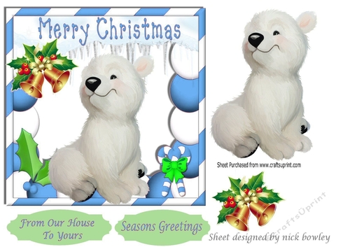 cute baby polar bear in blue festive christmas frame