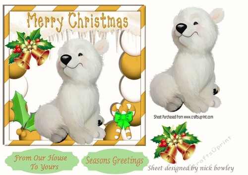 cute baby polar bear in gold festive christmas frame