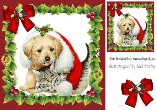 snuggled up in a santa hat a cute kitten and puppy 8x8