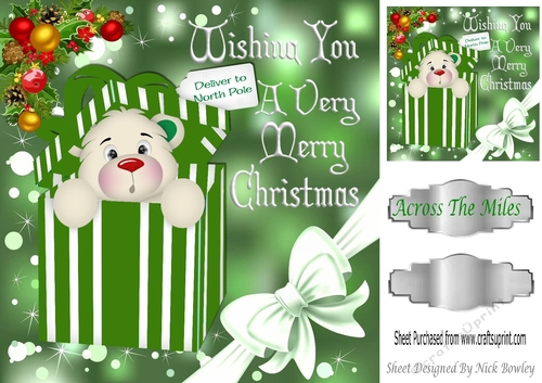 teddy in christmas green box with corner bow 8x8