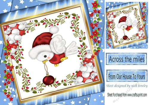 robin  in red santa hat with bauble in  stacked star frame with flowers 8x8