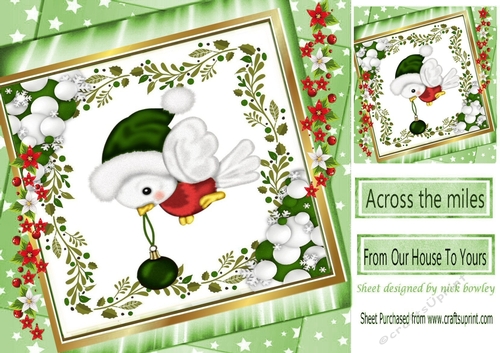 robin  in green santa hat with bauble in  stacked star frame with flowers 8x8