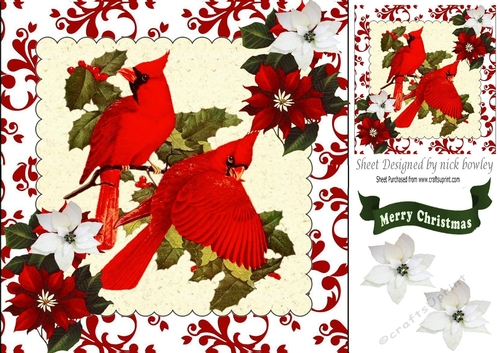 Lovely cardinals on a branch with snow and holly 8x8