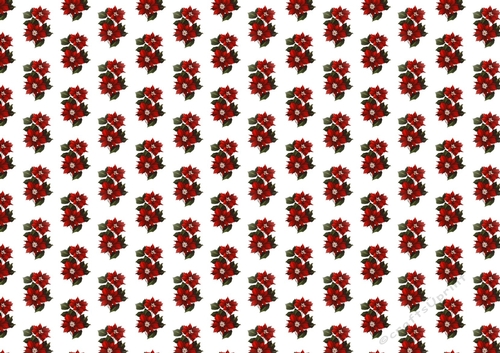 backing paper of red poinsettias