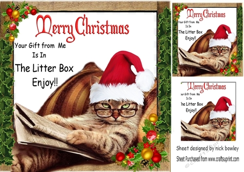 That lazy cat with attitude in santa hat 8x8