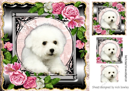 White fluffy puppy with pink roses 8x8
