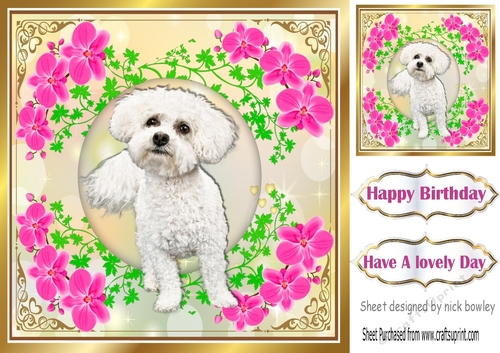 Cute little white puppy in gold ornate frame with flowers 8x8