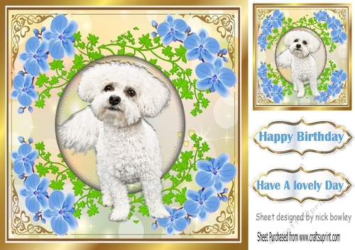 Cute little white puppy in gold ornate frame with blue flowers 8x8