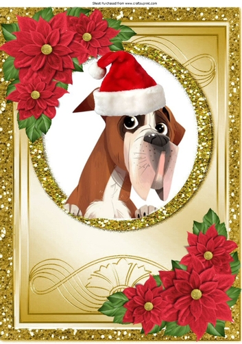Cute Dog in a santa hat with red poinsettias in gold frame A4