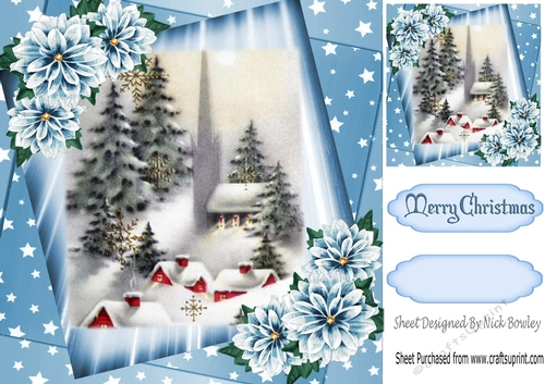 Lovely Winter Scene with stars and flowers 8x8