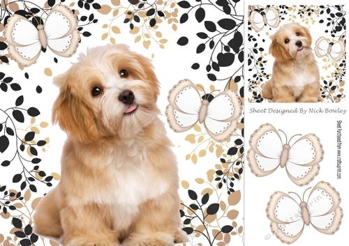 Cute Puppy in leaf frame with butterflies 8x8
