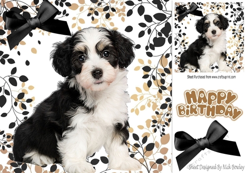 Cute black/white puppy with black bow in leaf frame 8x8