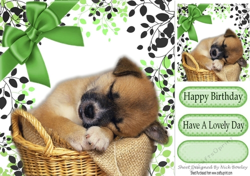 Adorable little puppy sleeping  in leaf frame with green bow 8x8