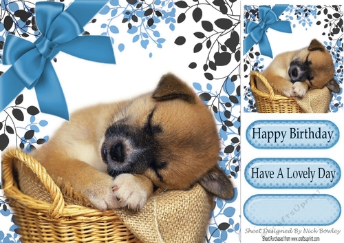 Adorable little puppy sleeping  in leaf frame with blue bow 8x8