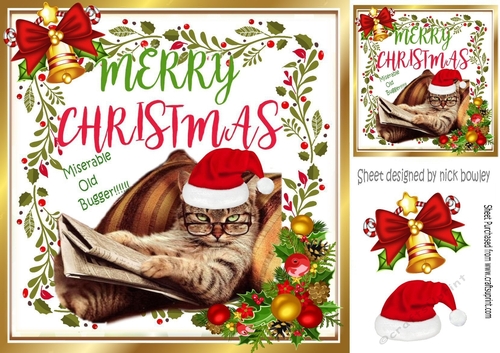 Cat in santa hat with issues with bell and holly 8x8
