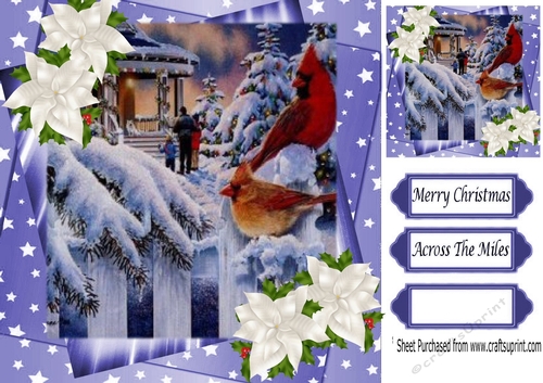 pretty snow scene with cardinal birds 8x8