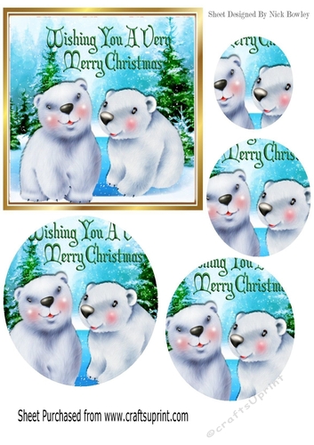 cute polar bears in the snow circle pyramids