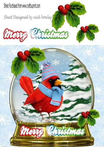 Pretty red cardinal bird in hat/scarf in snow globe with holly