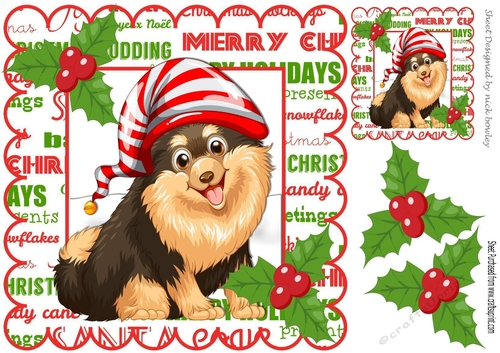 Lovely brown dog in santa hat with holly 8x8