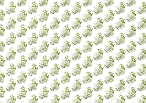 white/green flower spray.  backing paper