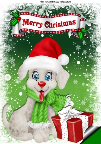 Cute puppy in santa hat with christmas present A4