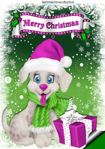 Cute puppy in santa hat with pink christmas present A4